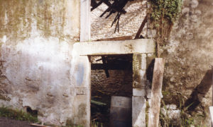 Historia de El Rincón de Bustio